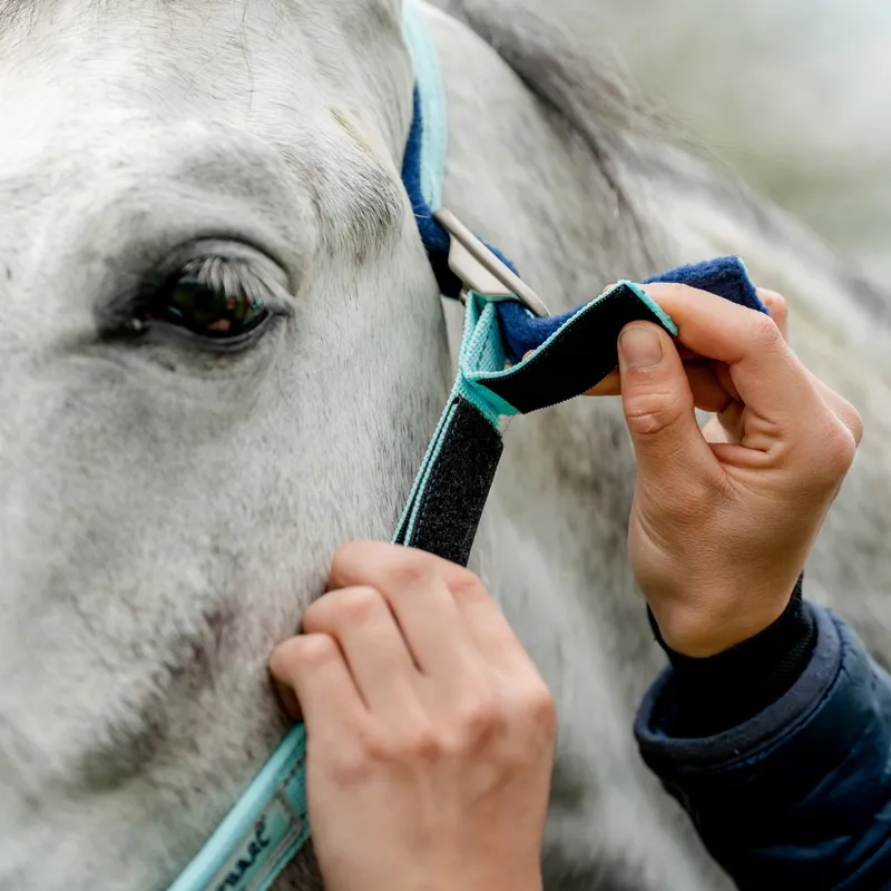 Horseware Field Safe Halter - Blue Haze-3
