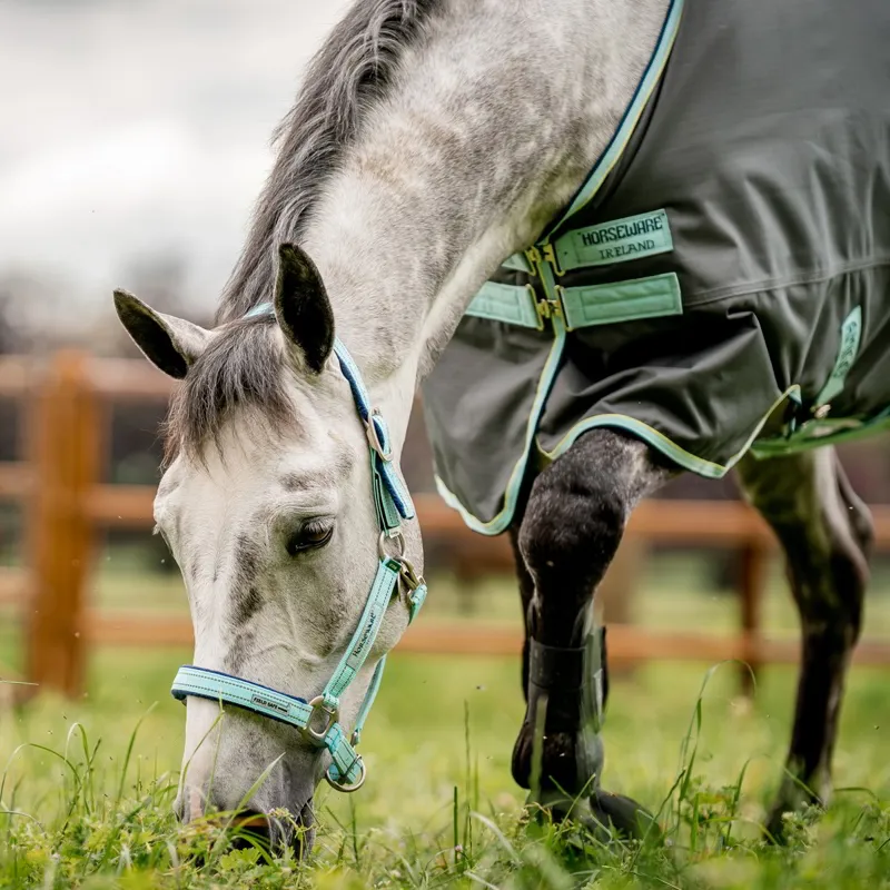 Horseware Field Safe Halter - Blue Haze-4
