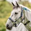 Horseware Field Safe Halter - Navy