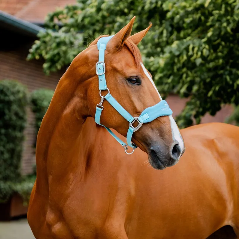 Horseware Signature Grooming Halter - Blue Haze-1