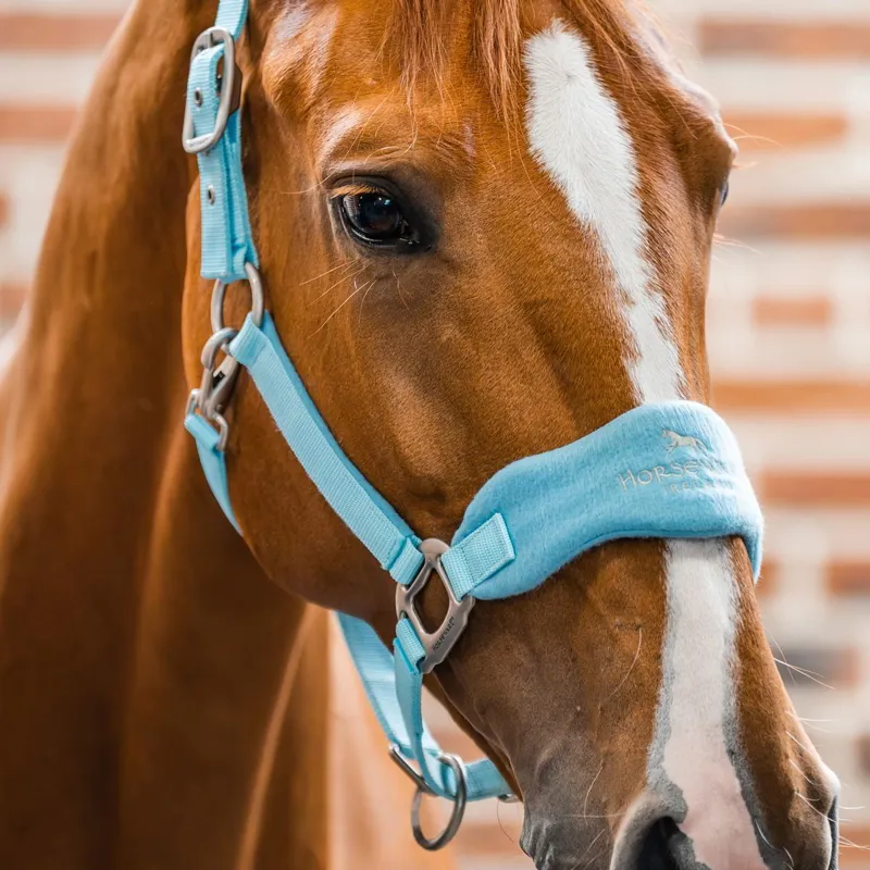 Horseware Signature Grooming Halter - Blue Haze-2