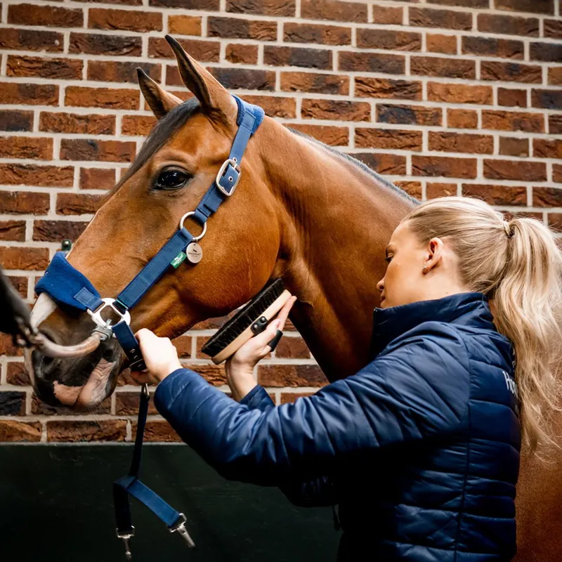 Horseware Signature Grooming Halter - Navy-1