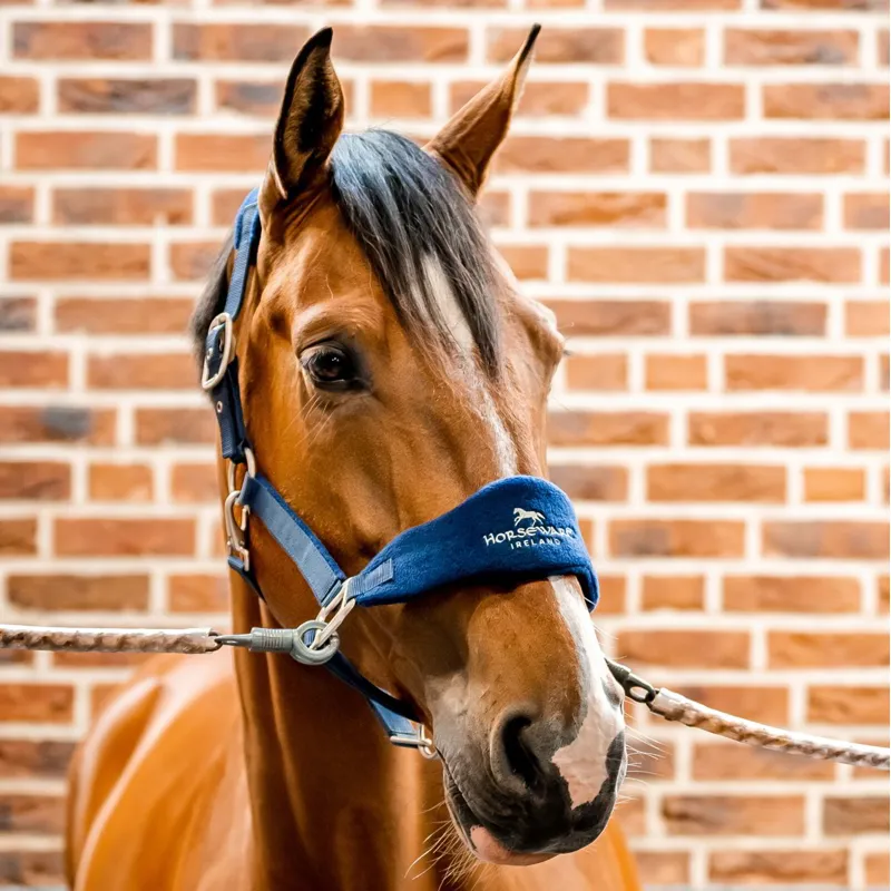 Horseware Signature Grooming Halter - Navy-3