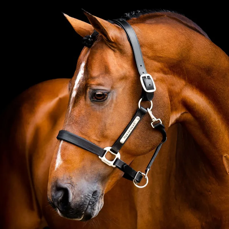 Horseware Signature Leather Halter - Black