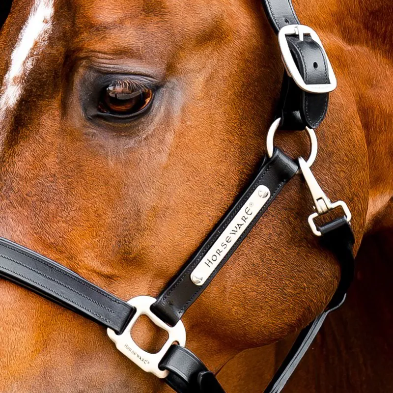 Horseware Signature Leather Halter - Black-1