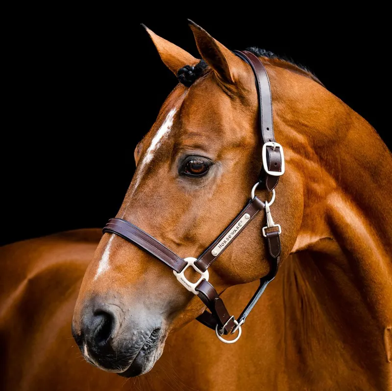Horseware Signature Leather Halter - Brown