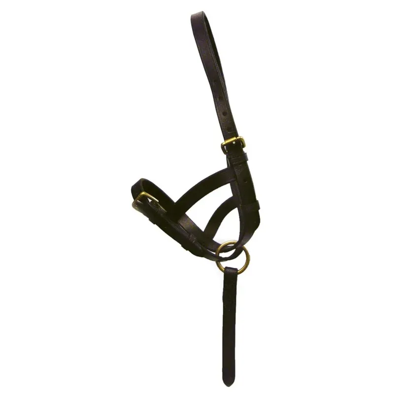 Hy Leather Foal Slip - Brown