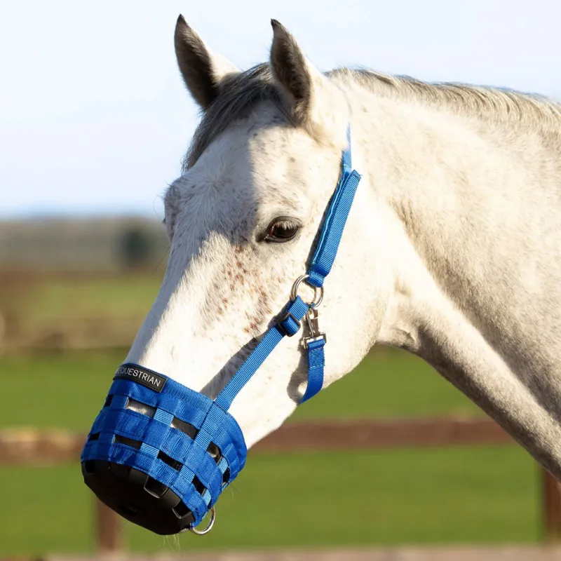 Hy Equestrian Grazing Muzzle - Blue-1