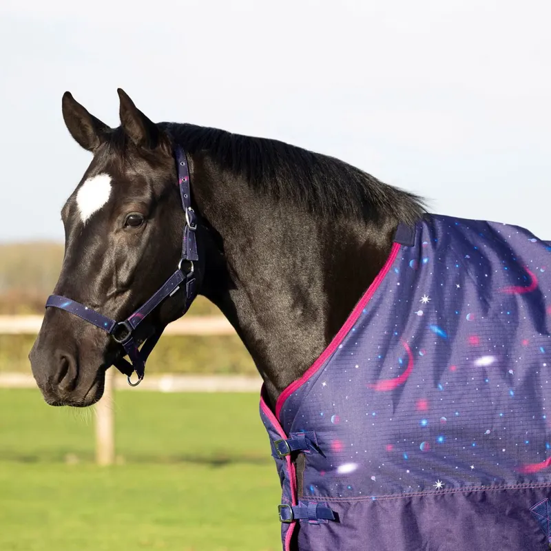 StormX Original 100g Turnout Blanket-Out Of This World-4