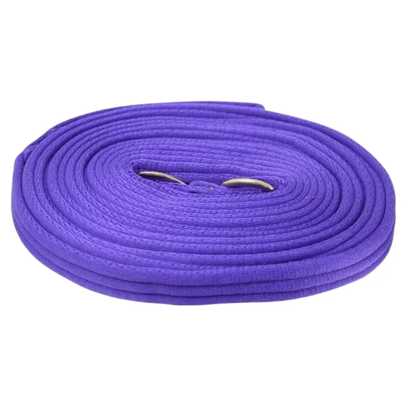 Hy Soft 25ft Lunge Line - Purple