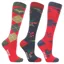 Hy Equestrian HYCONIC Christmas Riding Socks 3-Pack - Holly
