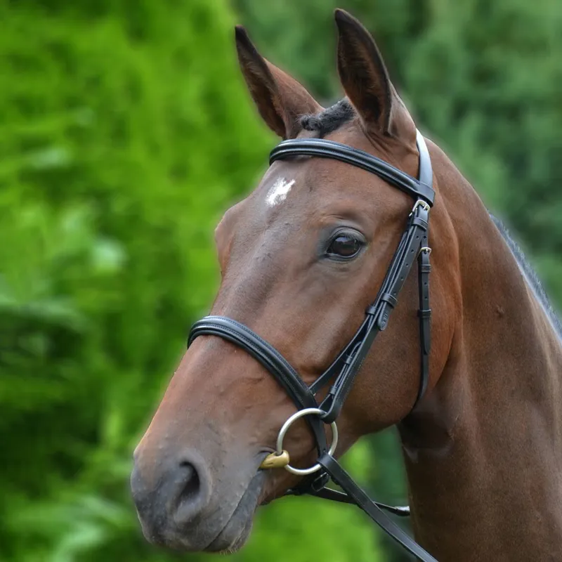 Hy Padded Cavesson Bridle with Rubber Grip Reins - Black-1