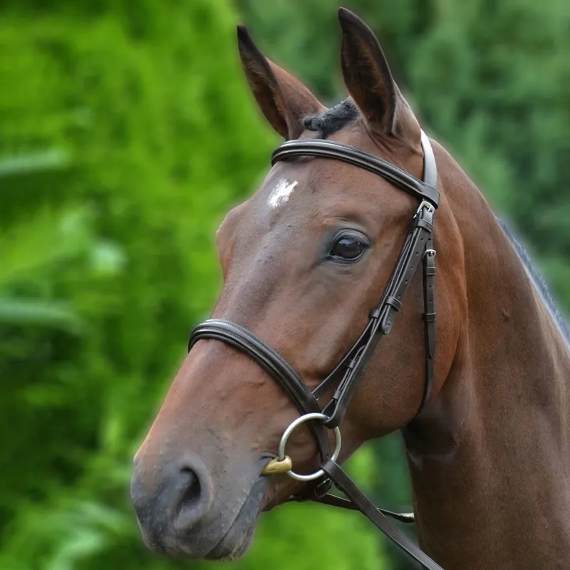Hy Padded Cavesson Bridle with Rubber Grip Reins - Brown-1