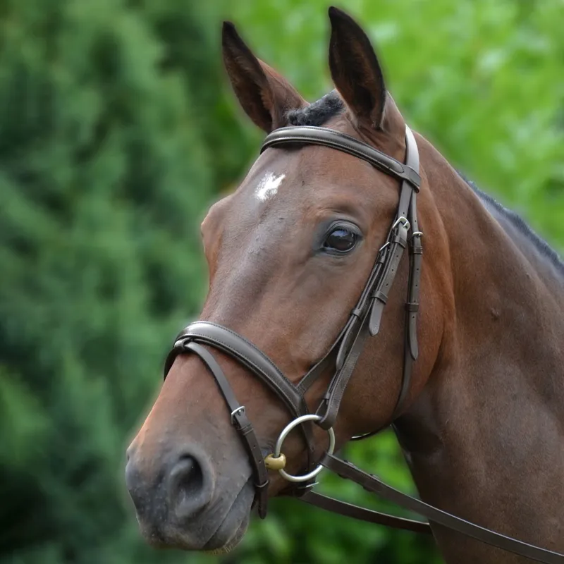 Hy Padded Flash Bridle with Rubber Grip Reins - Brown-1