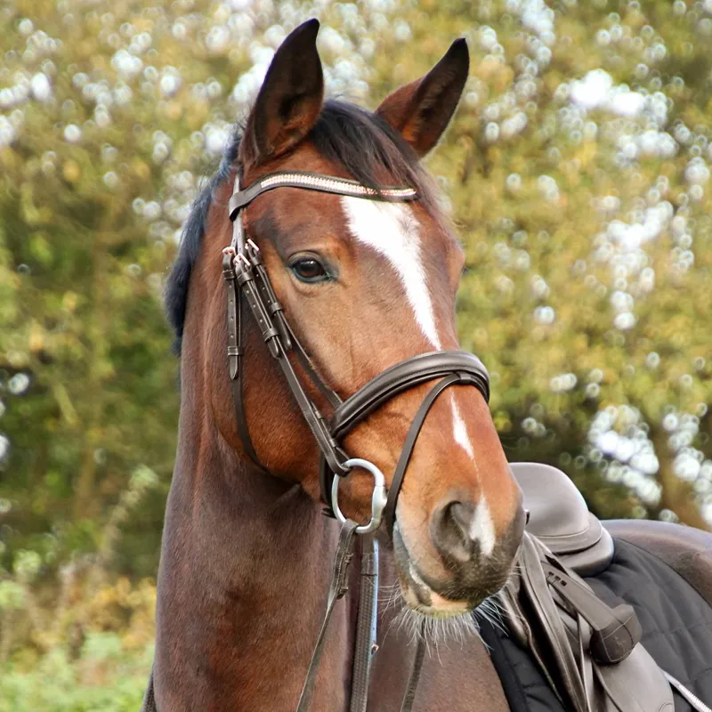 Hy Equestrian Rosciano Flash Bridle - Brown/Rose Gold-1