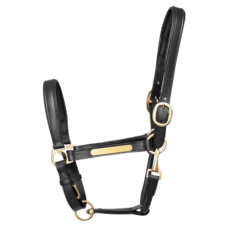 Hy Equestrian Leather Halter - Black