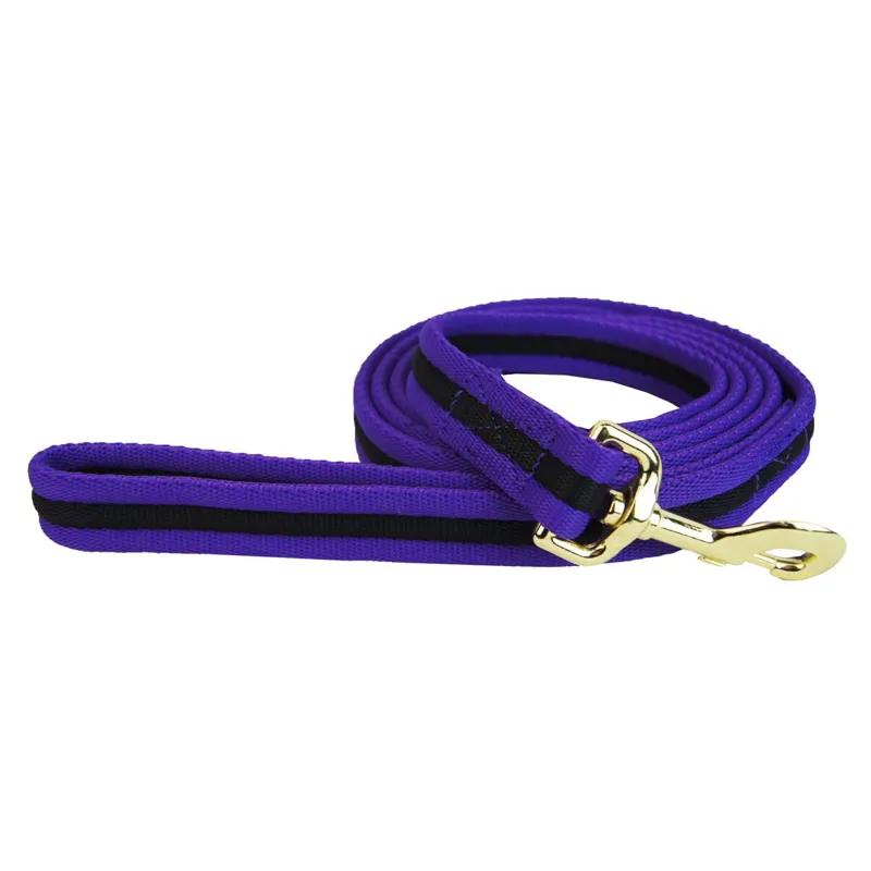 Hy Soft Webbing Lead Rope - Purple/Black