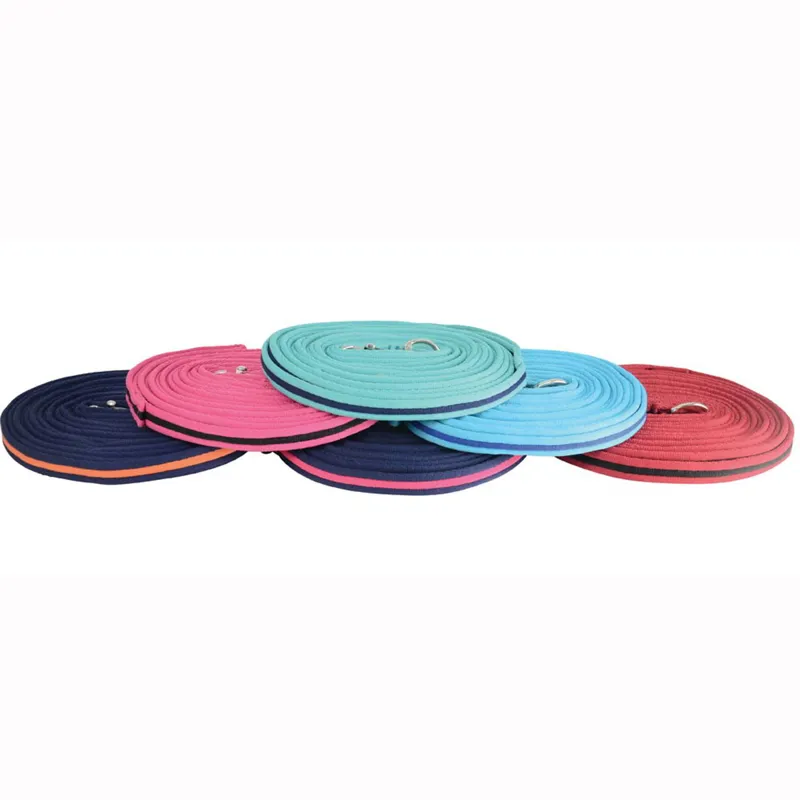 Hy Soft Webbing Lunge Line-1