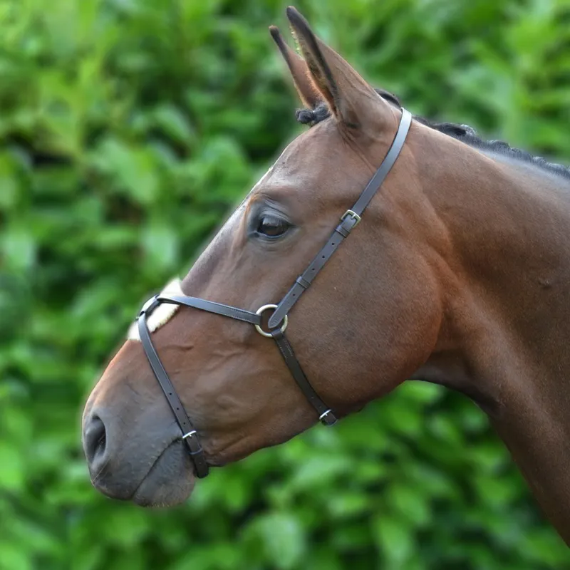 Hy Figure 8 Noseband - Black