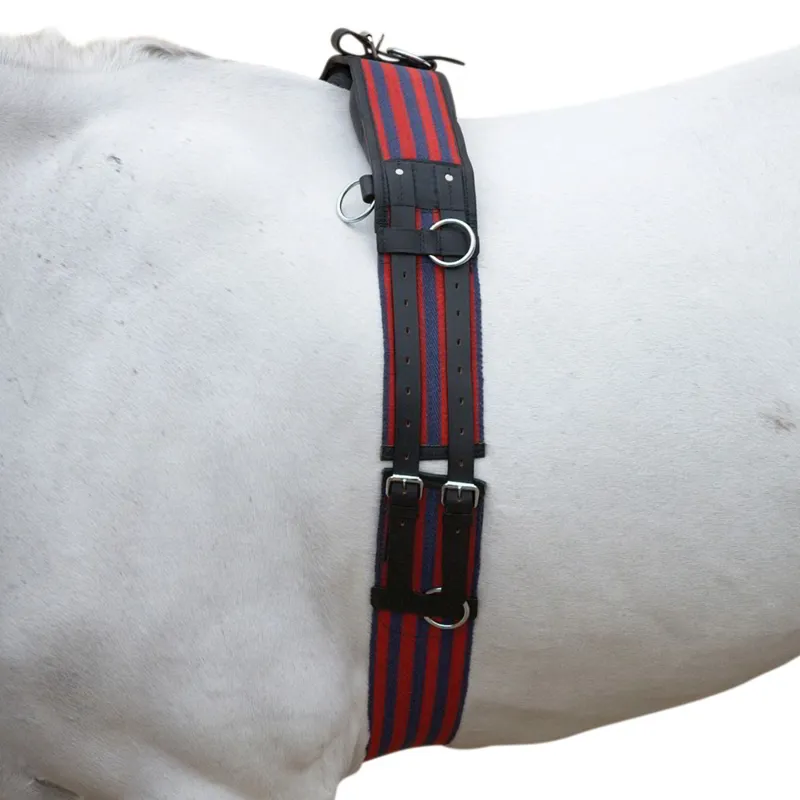 Hy Equestrian Training Roller - Navy/Red-1