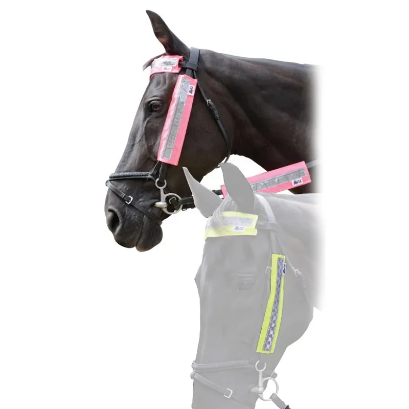 HyVIZ Fluorescent Bridle Kit - Pink-1