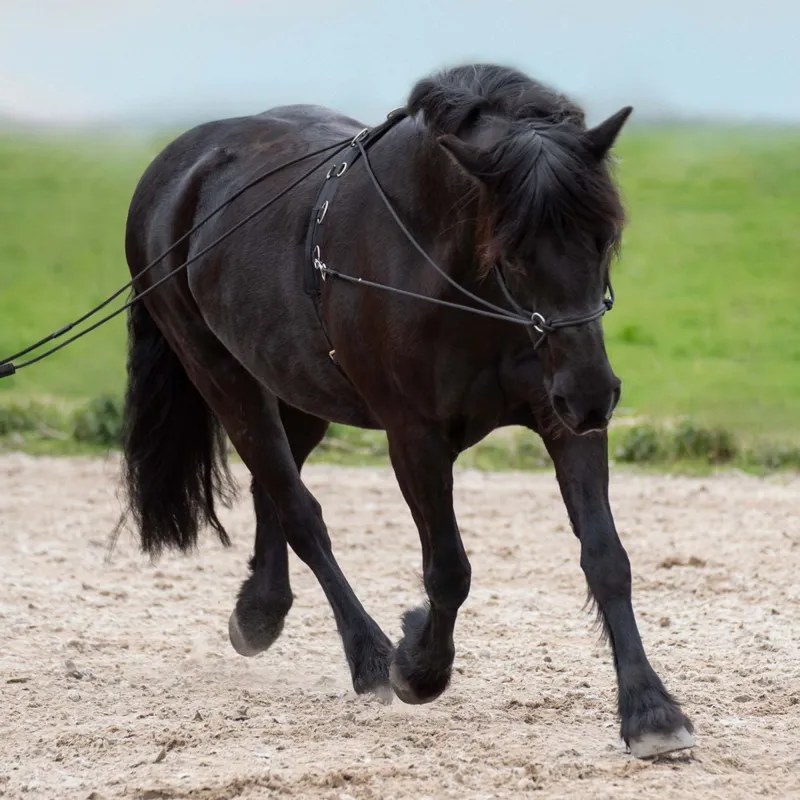 Imperial Riding Free Riding Double Longe Line - Black-1