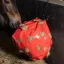 Imperial Riding Hay Fun Hay Bag - Apple