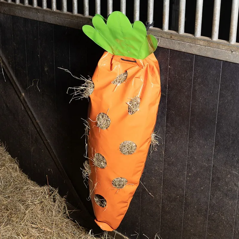 Imperial Riding Hay Fun Hay Bag - Carrot