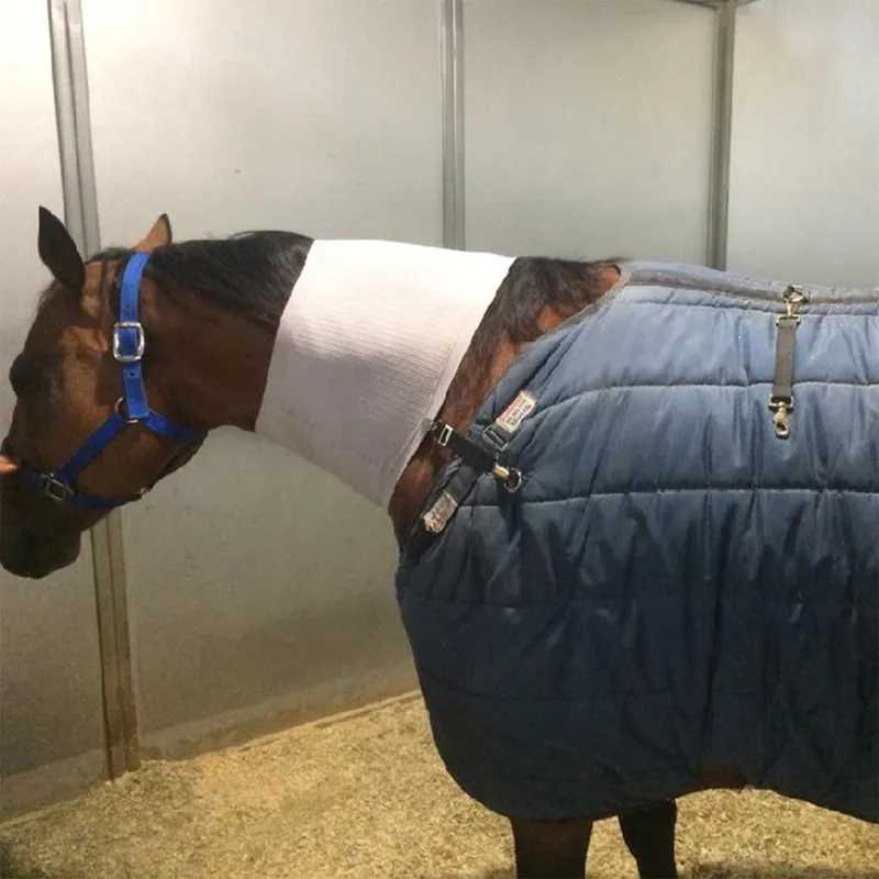 Incrediwear Equine Circulation Neck Sleeve-4