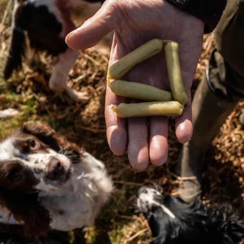 The Innocent Hound Skin and Coat Support Dog Treats - Aloe Vera/Spirulina-2