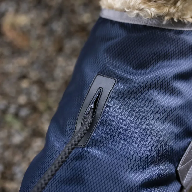 Horseware Ionic Therapy 50g Dog Coat - Imperial Blue/Silver/Navy-2
