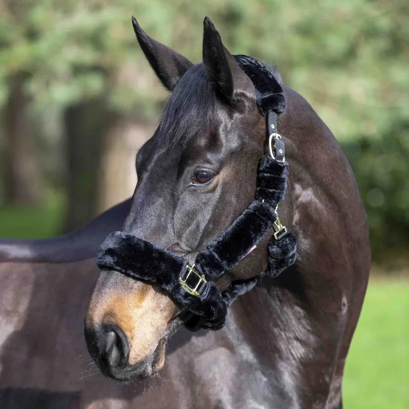 LeMieux Comfort Fleece Halter - Black-2