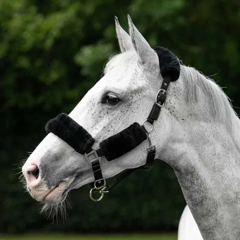 LeMieux Comfort Fleece Halter - Black-1