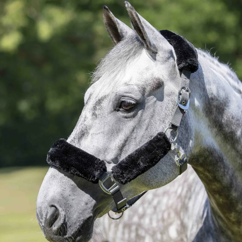 LeMieux Comfort Fleece Halter - Black/Grey-1