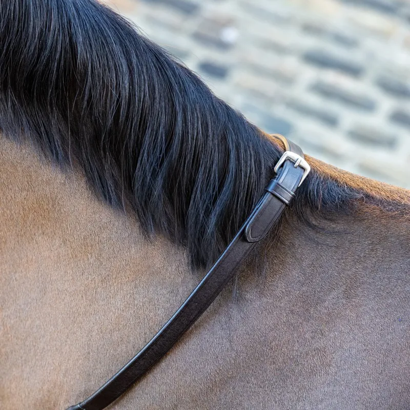 LeMieux Soft Rubber Reins with Stoppers - Brown/Brass-1