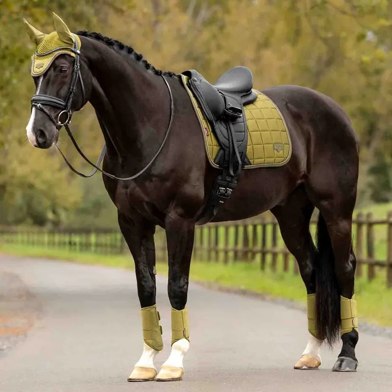 LeMieux Loire Classic Dressage Square Saddle Pad - Gooseberry-6