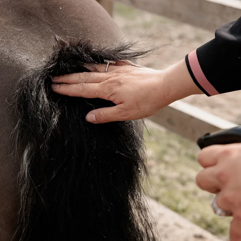 Grooming Deluxe Itch Stop Plus Spray-1