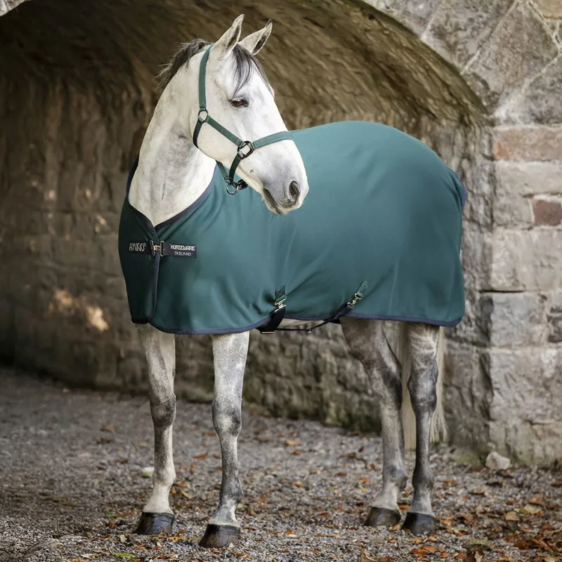 Amigo Jersey Cooler - Dynasty Green/Navy/Silver