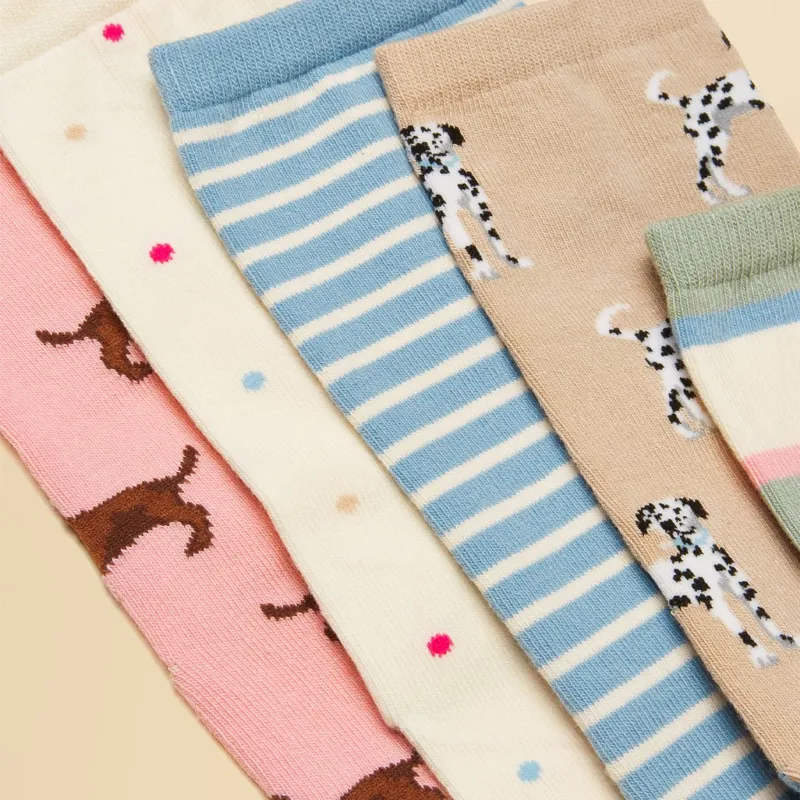 Joules Everyday Women's Socks 5 Pack - Multi Ecru Dog-2