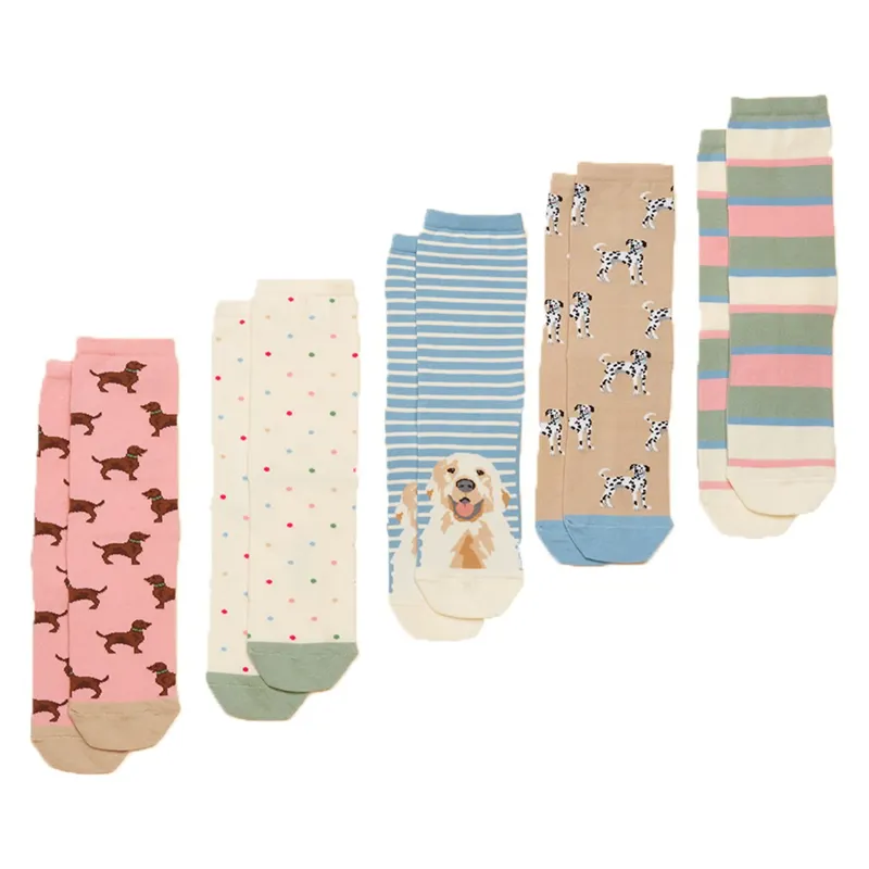 Joules Everyday Women's Socks 5 Pack - Multi Ecru Dog