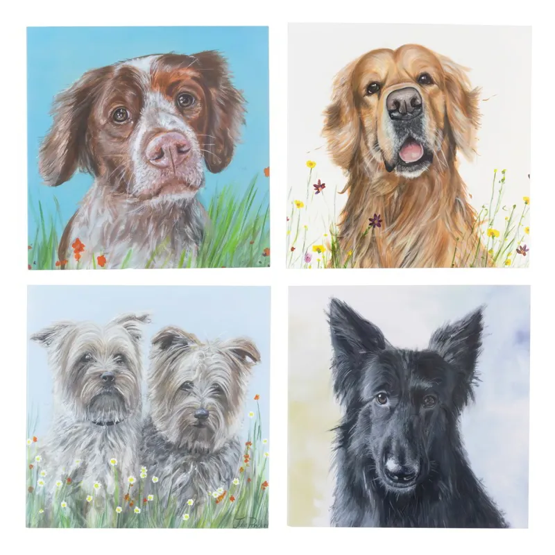 Julia Pankhurst Bouncing Buddies Dog Greeting Card - Various