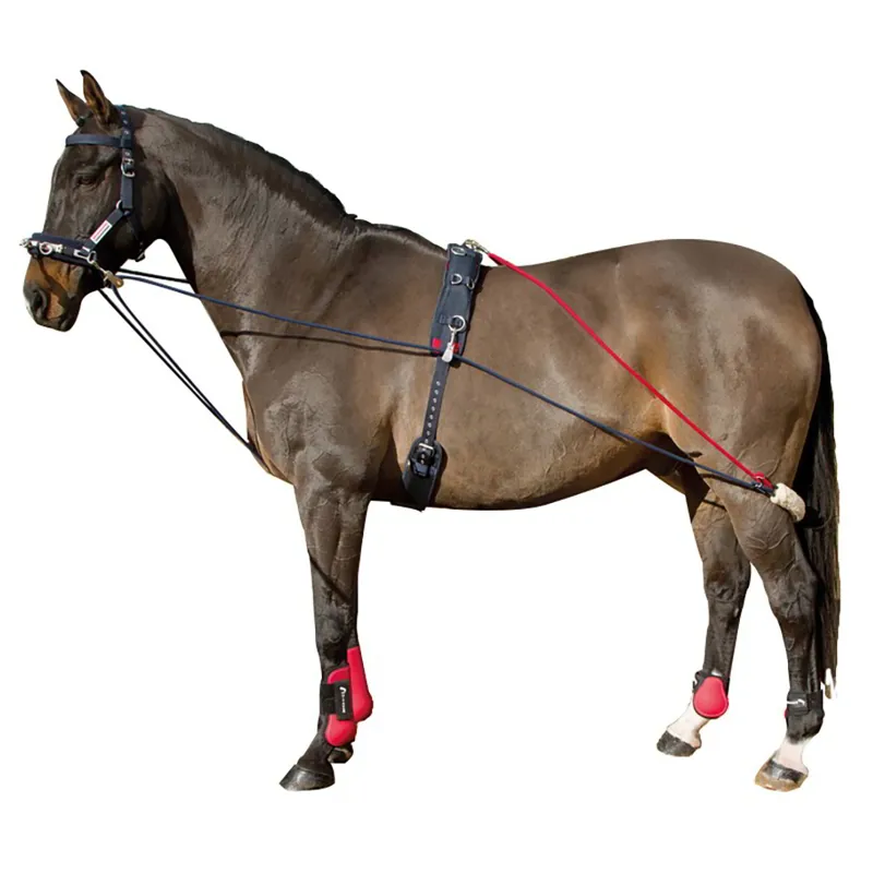 John Whitaker Training System-1