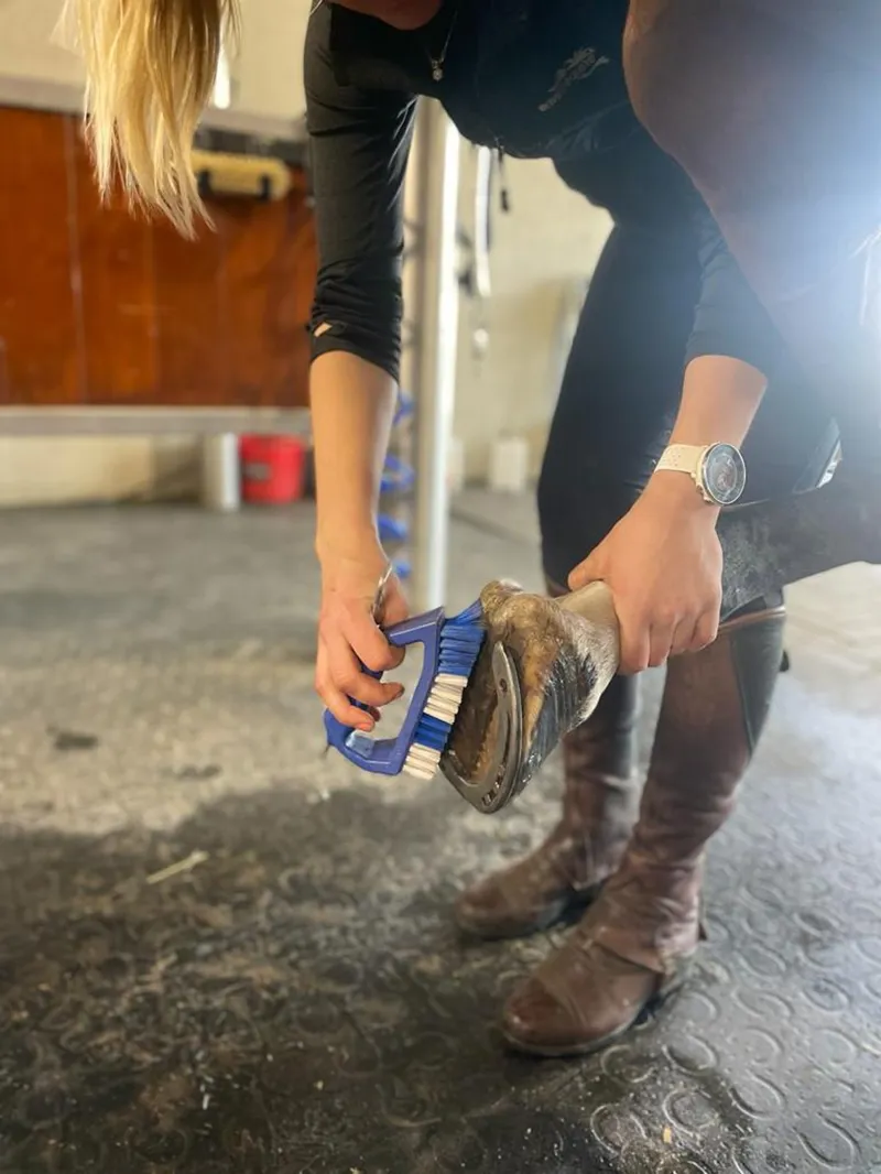 Kelcie's Hoof Pick and Brush - Blue-2