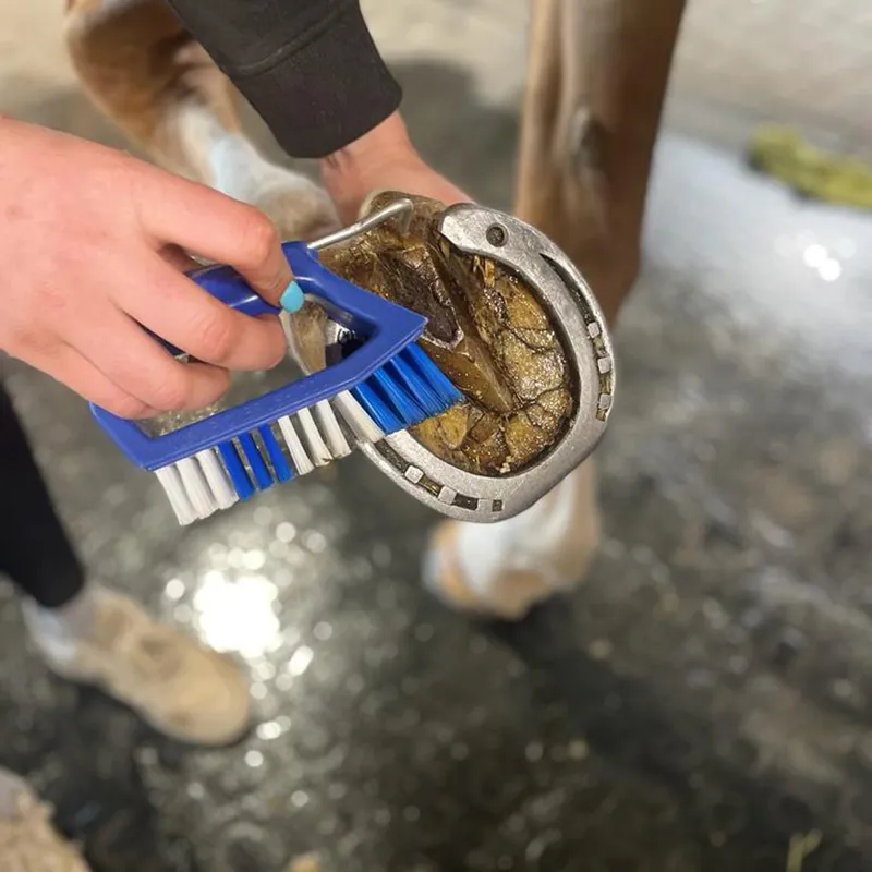 Kelcie's Hoof Pick and Brush - Blue-1