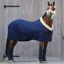 Kentucky 400g Standard Neck Stable Blanket - Navy