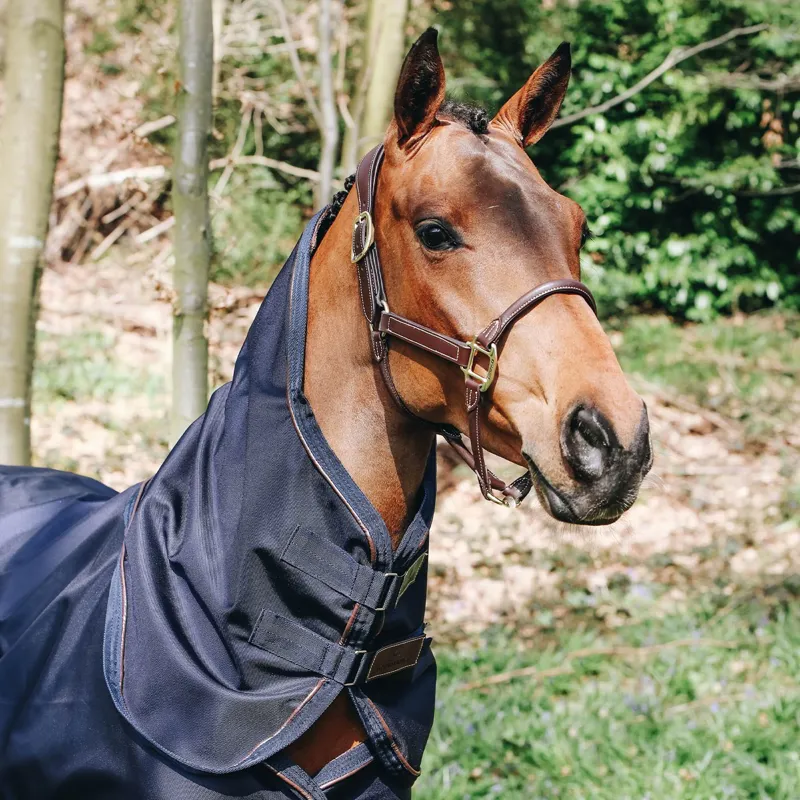 Kentucky Waterproof All Weather 200g Comfort Neck Cover - Navy-1