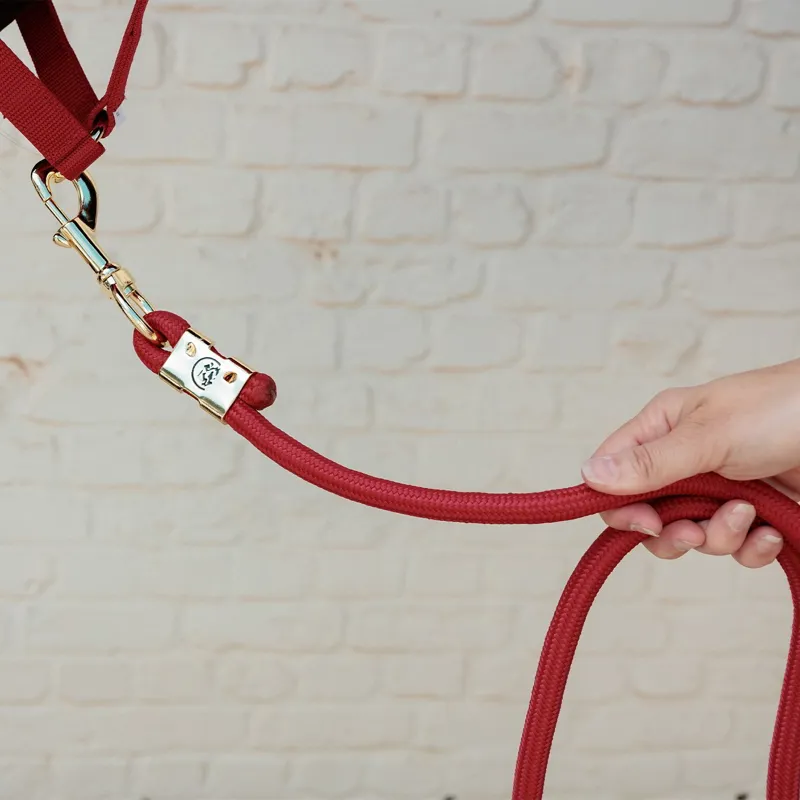 Kentucky Basic Lead Rope - Red-2