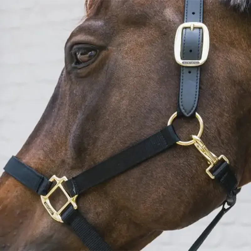 Kentucky Horsewear Breakaway Safety Halter Head Piece - Black-1