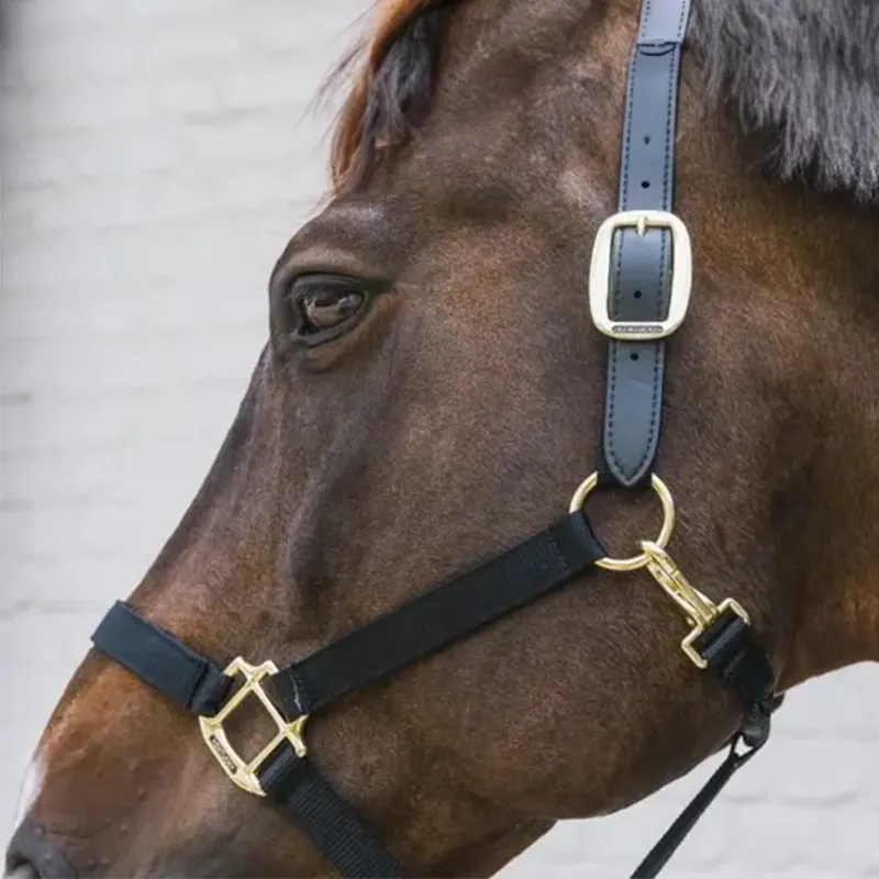 Kentucky Horsewear Nylon Breakaway Safety Halter - Black-2
