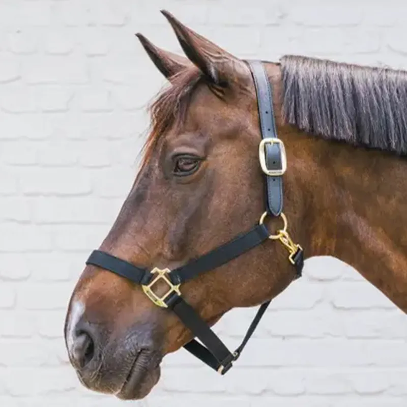 Kentucky Horsewear Nylon Breakaway Safety Halter - Black